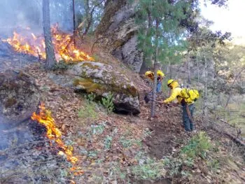 Gobierno de Puebla combate con eficacia 301 incendios forestales y reduce superficie afectada