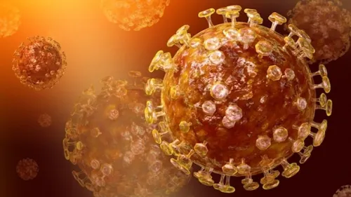 Profesor del IPN que viajó a China, posible portador de coronavirus en México
