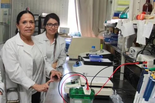 Investigadores BUAP encuentran biomarcadores para la detección oportuna de cáncer de mama