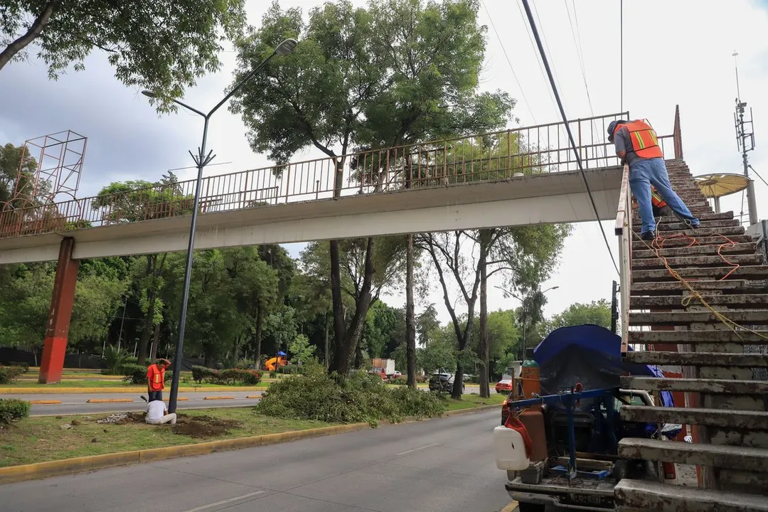 Puente Peatonal Parque Cenhch
