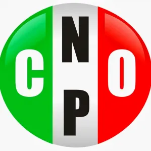 Por excluir a jóvenes, PRI perderá 20 mil votos en esta elección: CNOP