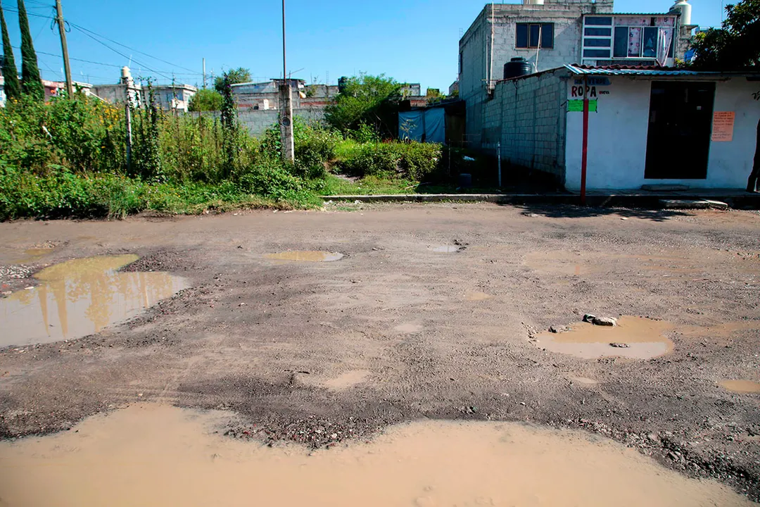 Baches Bacheo Pue