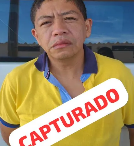 Organización criminal