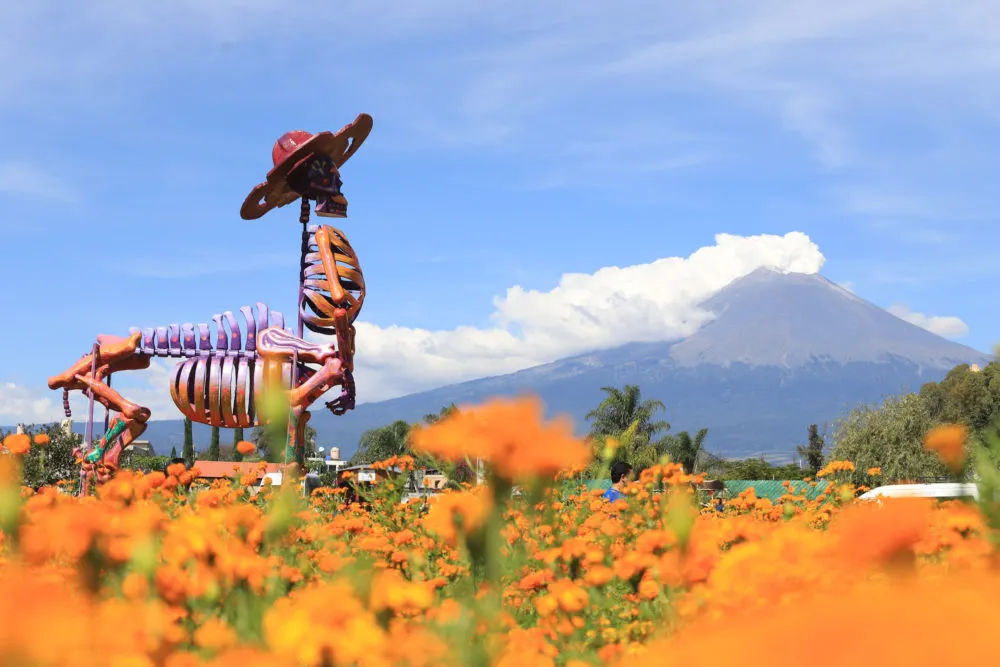 Valle de Catrinas en Atlixco