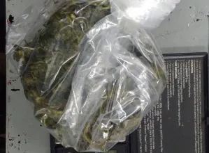 Ubica SSP a interno de San Miguel en posesión de droga