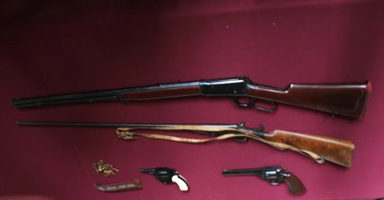 Armas de fuego