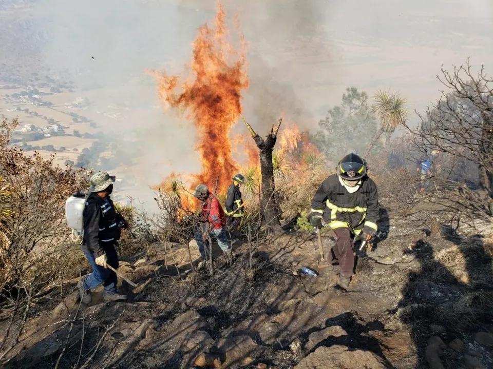 Incendios forestales
