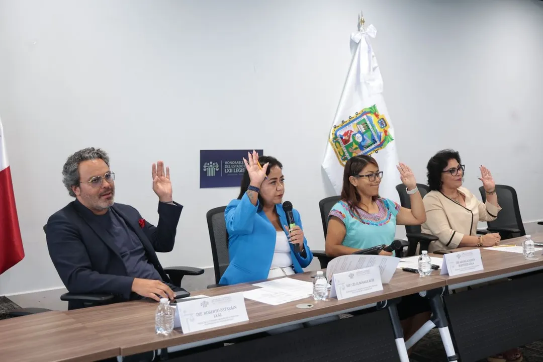 Congreso Pue Comision Atencion Personas Situacion Vulnerabilidad