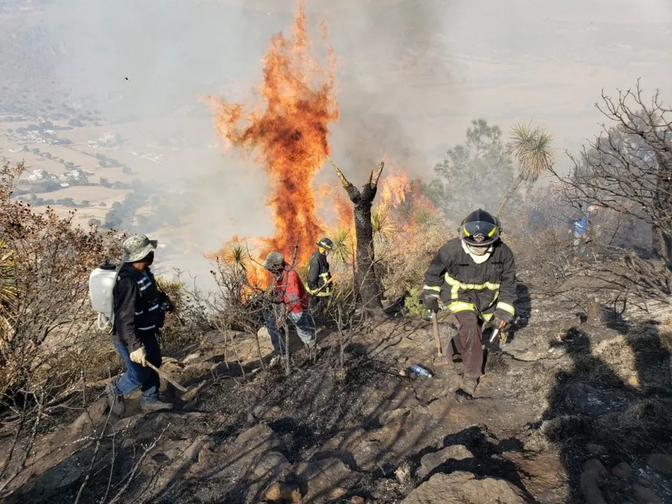 incendio forestal