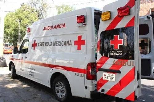 Cruz Roja, sin colecta y fuera del C5