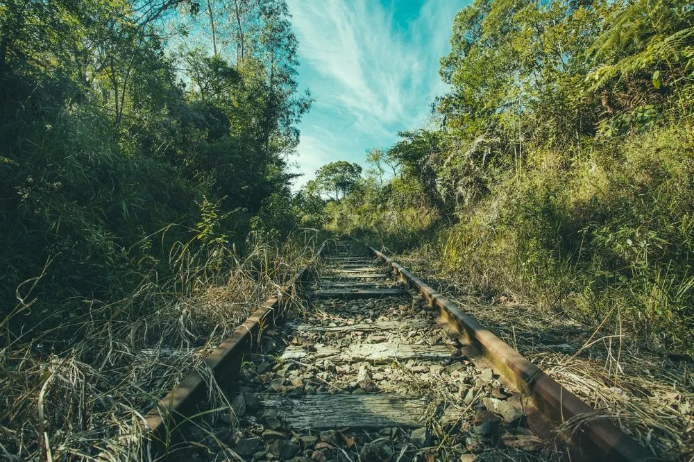 Tren Maya