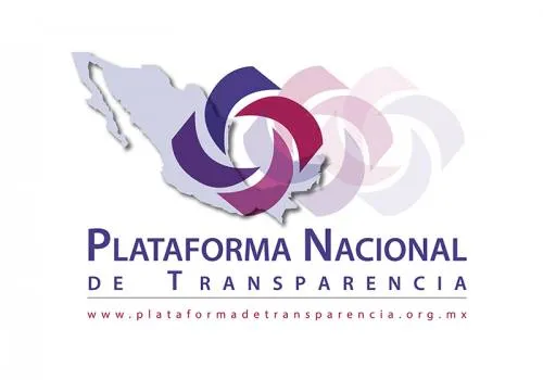 Itaipue al 100% en la publicación de obligaciones de transparencia: Sierra Palacios