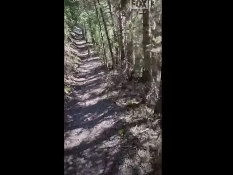 Captura de Pantalla