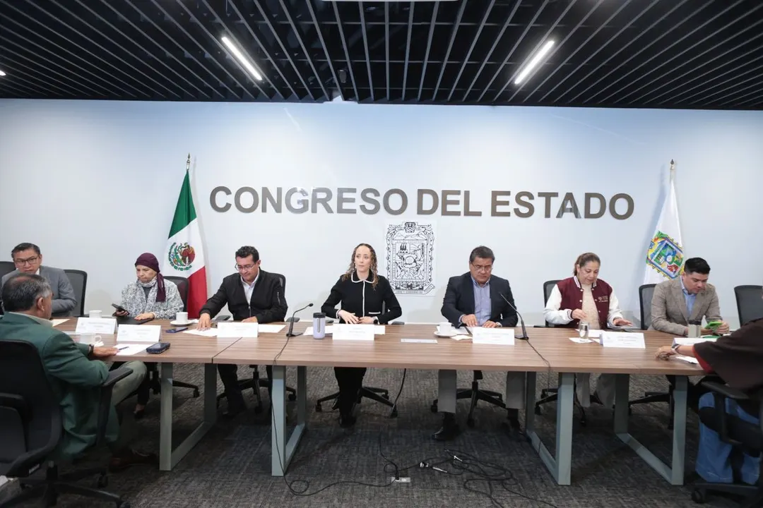 Congreso Pue Comisiones Ley Transparencia E Informacion Publica