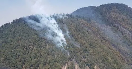 Controlado el fuego en Cerro El Pinal en un 95%