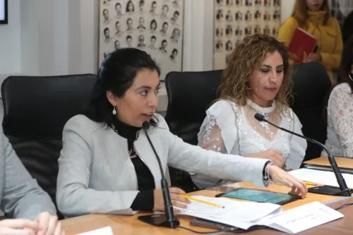 Destaca Comisión de Medio Ambiente, en informe, prohibición de bolsas de plástico de un solo uso