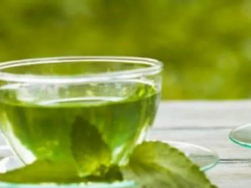 Autoriza Ssa nuevos medicamentos herbolarios