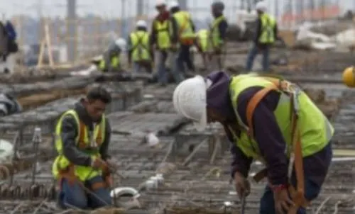 Empleo en OCDE alcanza nivel máximo en segundo trimestre de 2017