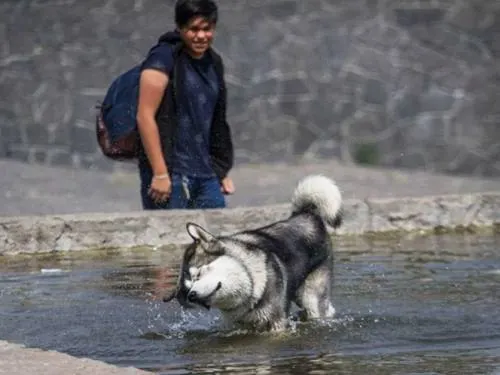 Recibirán 5 estados la primavera con temperaturas de 45 grados