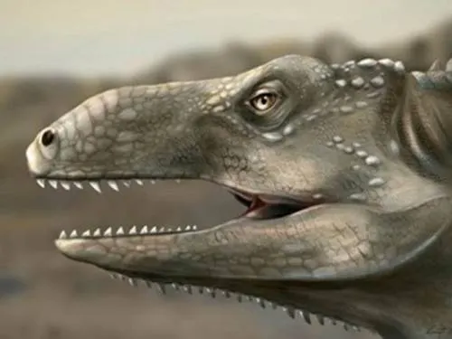 Hallan fósil de nuevo reptil que vivió hace 237 millones de años