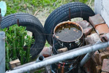 Secretaría de Salud reporta 57 municipios de Puebla con casos de dengue