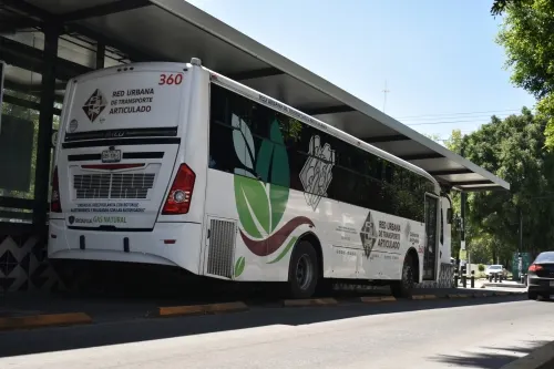 La RUTA del fraude 8 años después