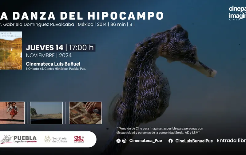 En noviembre, Secretaría de Cultura proyectará filmes para personas con discapacidad visual o auditiva