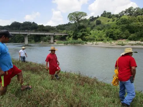 Inexistente presencia de cocodrilos en Ayotoxco de Guerrero: PROFEPA