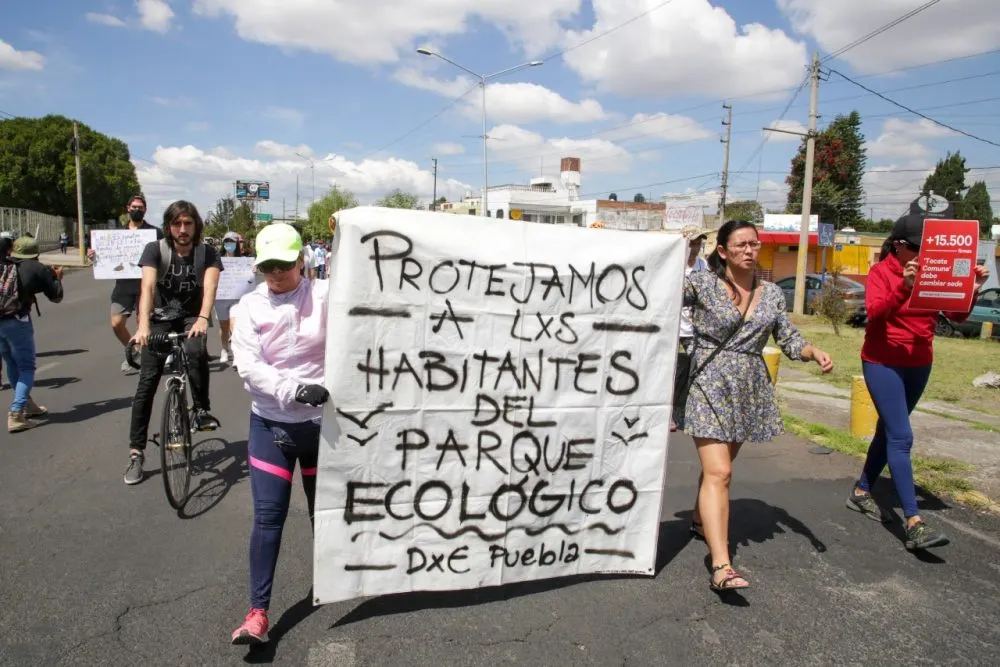 Manifestación Ecológico