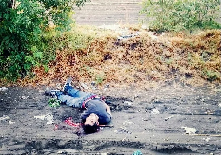 Imagen del artículo