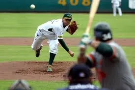 Pericos sí jugarán en la Liga Invernal Mexicana