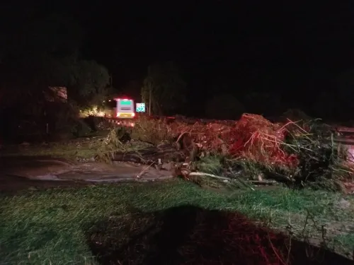 Lluvias provocan muerte de un hombre y afectaciones en viviendas de la Mixteca Poblana: Segob