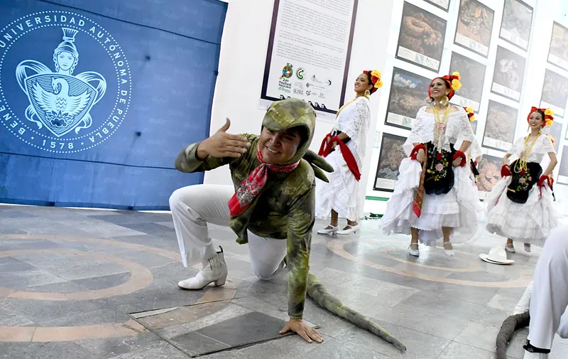 buap-exposicion-fotografica-serpientes-mexicanas