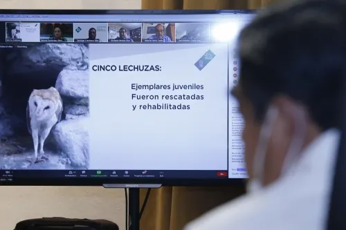 Otorgar más atribuciones a los estados para supervisión del medio ambiente, propone Miguel Barbosa