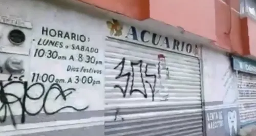 Banda denominada “305” marca domicilios para después saquearlos en Bosques de San Sebastián