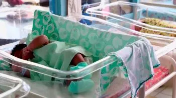 Alerta OMS por casos de hepatitis infantil aguda