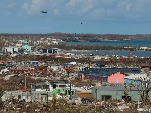 Mueren por ‘Dorian’ 220 perros en albergue de Bahamas