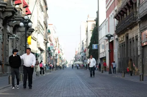 Pimponeo de responsabilidades entre autoridades federales y estatales