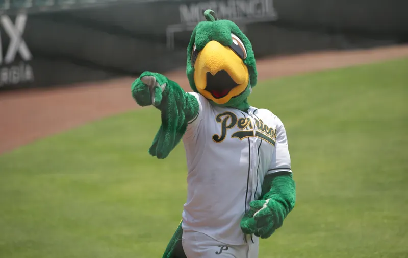 Pericos