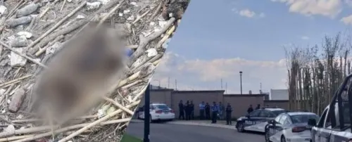 Encuentran cuerpo desmembrado en Lomas de Angelópolis