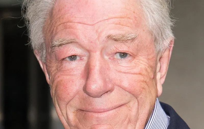 Michael Gambon