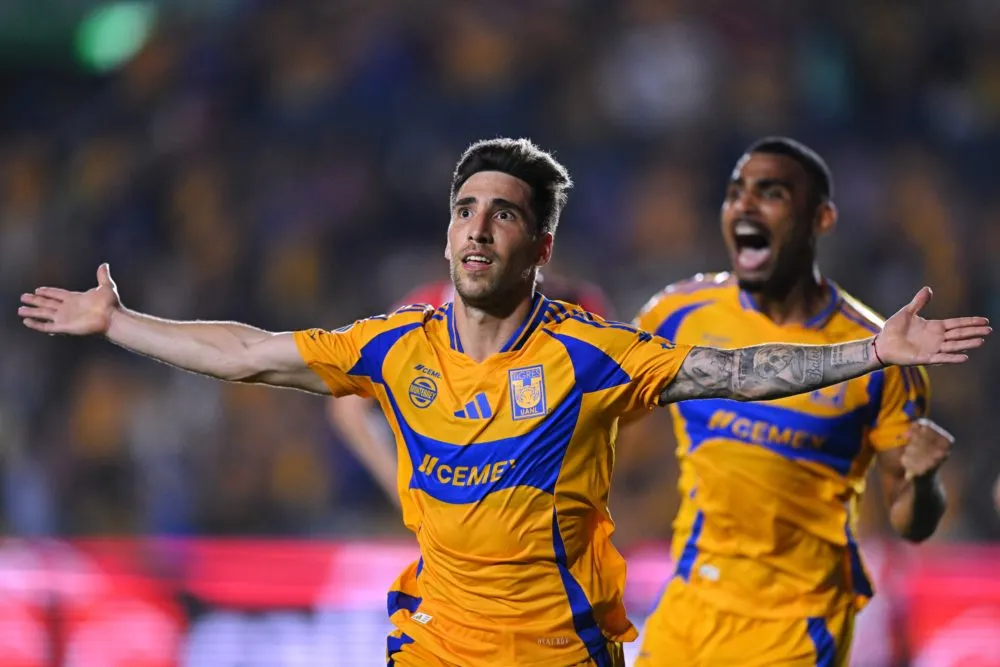 Tigres/ Foto: Redes