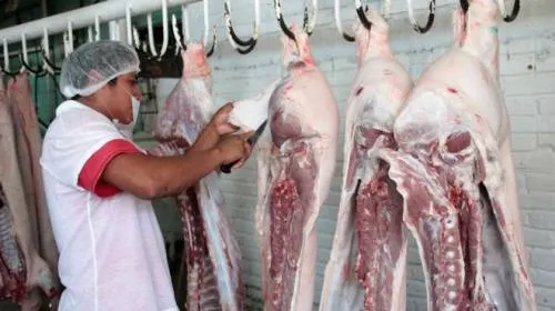 Tras paso de Franklin, Granjas Carroll garantiza el abasto y precio del cerdo