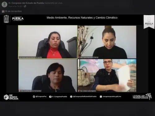 Aprueba LX Legislatura en Comisión reformas a la Ley de Bienestar Animal
