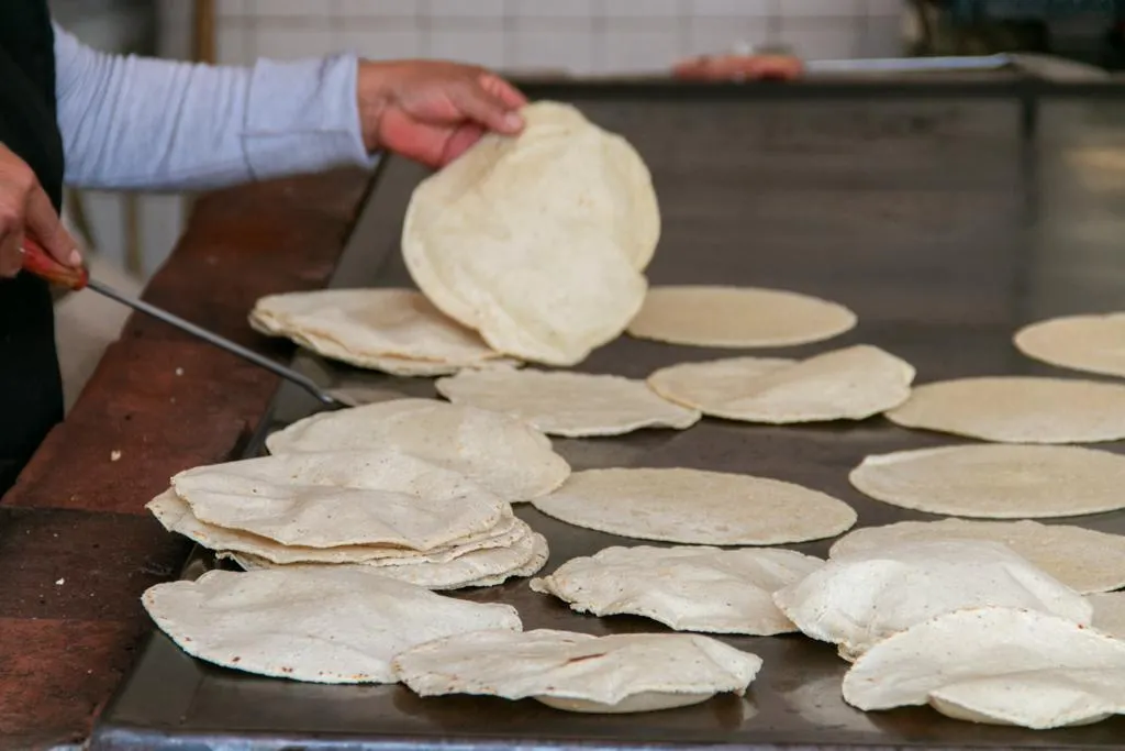 Tortillas - AMLO - 2024