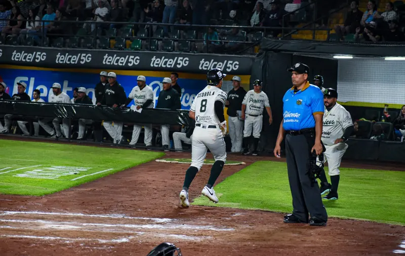 Imagen del artículo