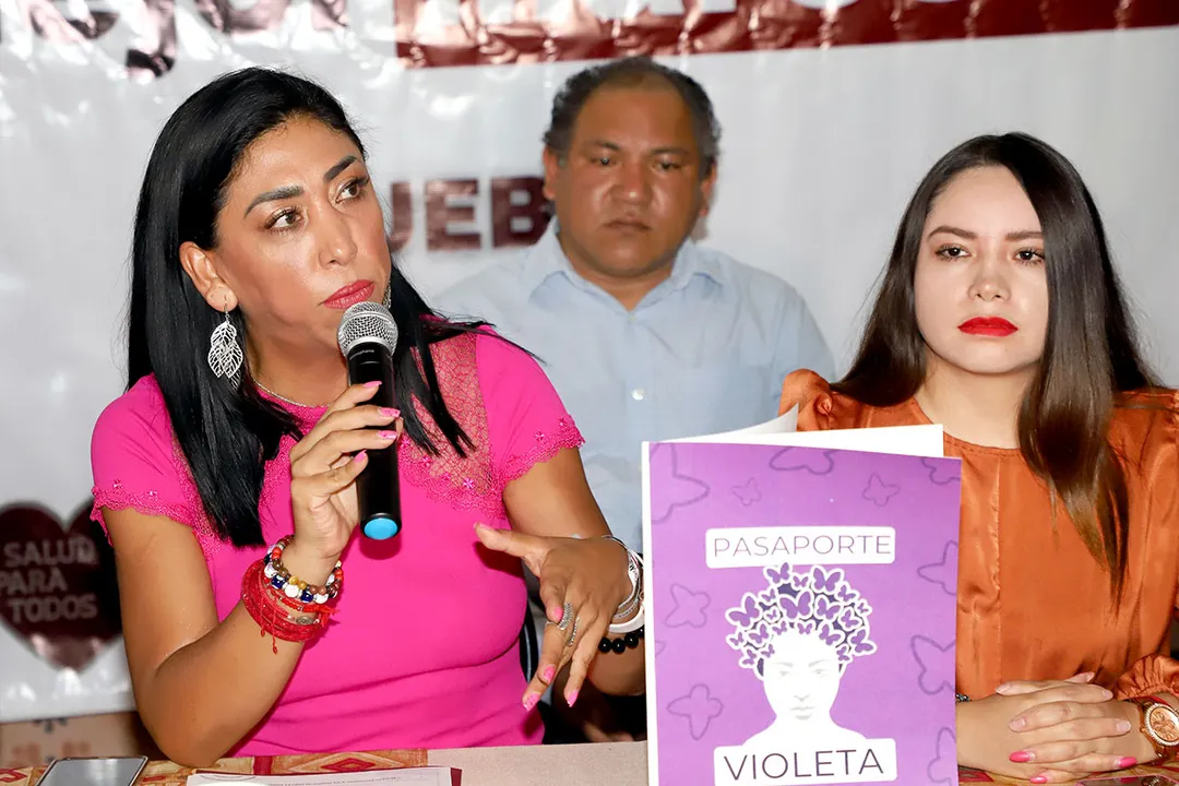 Norma Pimentel Ebrard Pasaporte Violeta