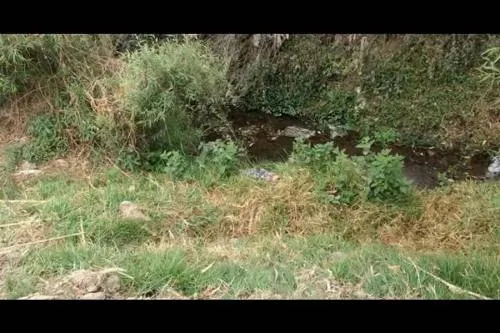 Encuentran cuerpo ahorcado cerca de la exhacienda de Chautla