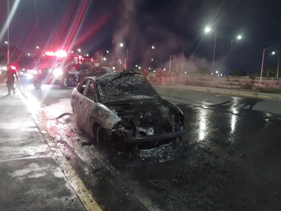 Coche calcinado a la altura del Parque Bicentenario