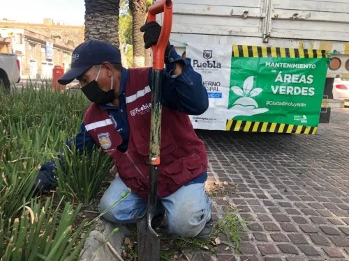 Más mantenimiento a espacios públicos y áreas verdes implementa Gobierno de la Ciudad